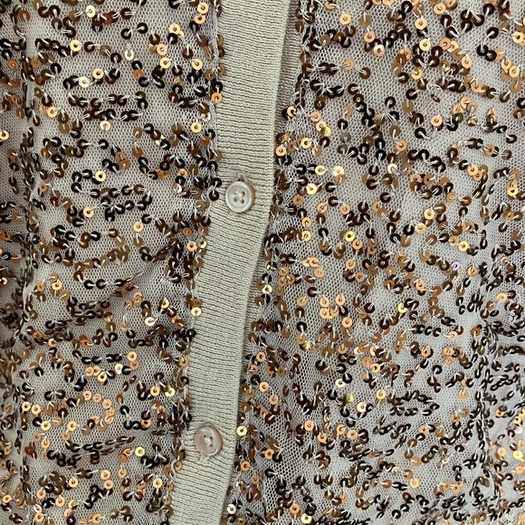 AMERICAN EAGLE OUTFITTERS - Sequin Button Down Cardigan Sweater (Rose Gold) - Picture 3 of 8